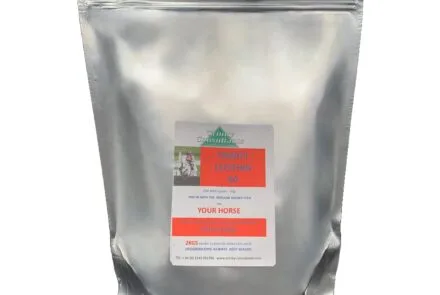 Lecithin 50